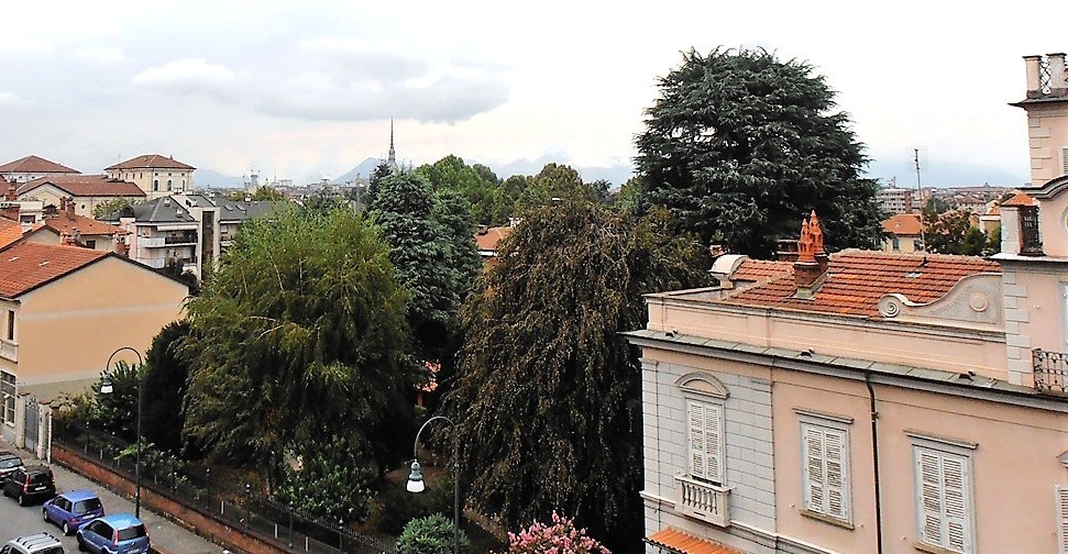 MARIA GRAZIA SAVANT ROS - codice: 10597